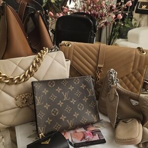 Brown and Beige Designer Women's Bag